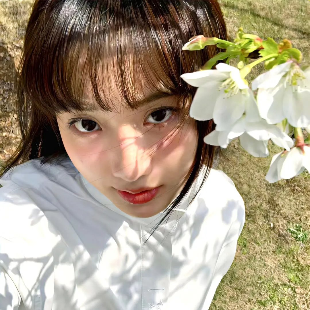 花花世界青春梦